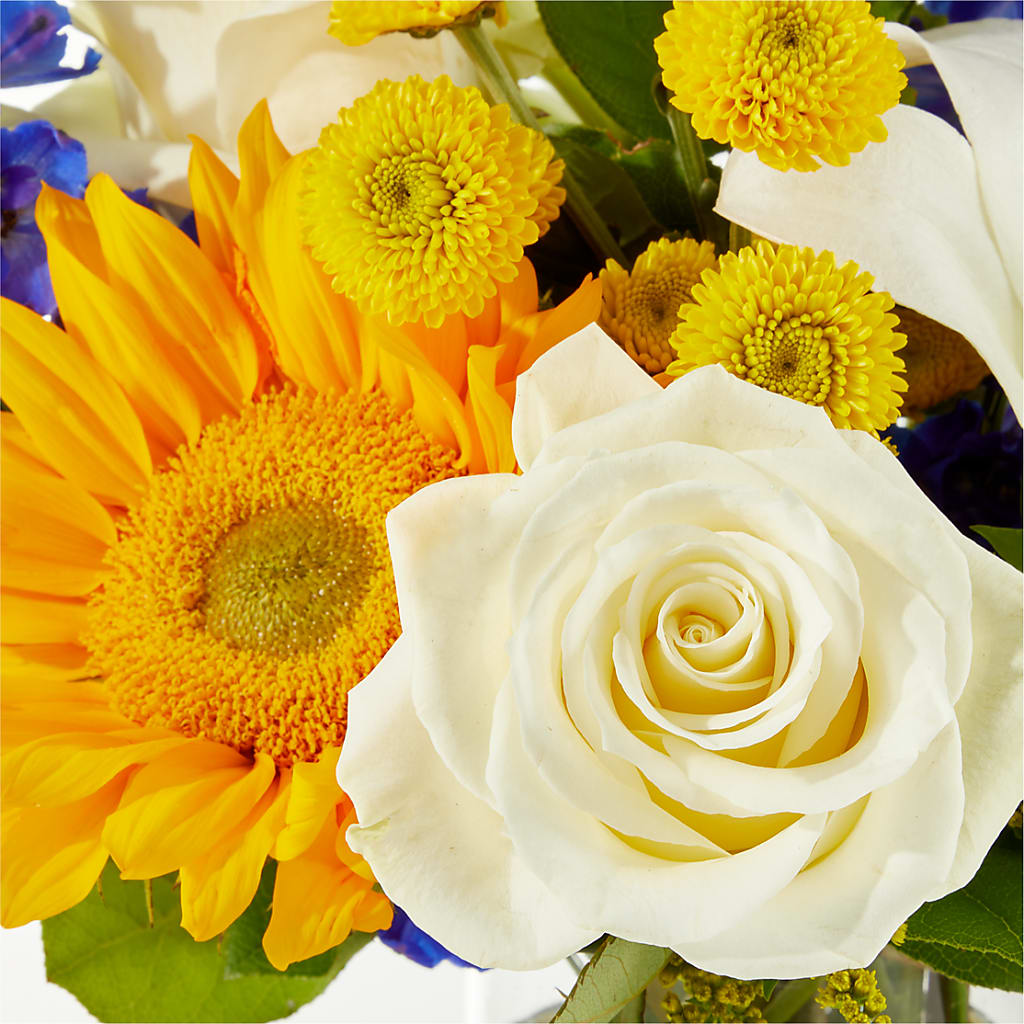 Stargazing Bouquet –  James Floral Shoppe, Wilkinsburg PA