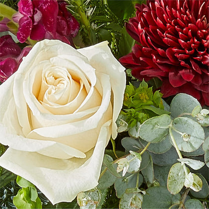 Cranberry Fizz Bouquet –  James Floral Shoppe, Wilkinsburg PA