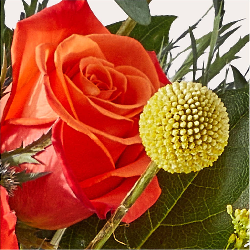 Disco Bouquet –  James Floral Shoppe, Wilkinsburg PA