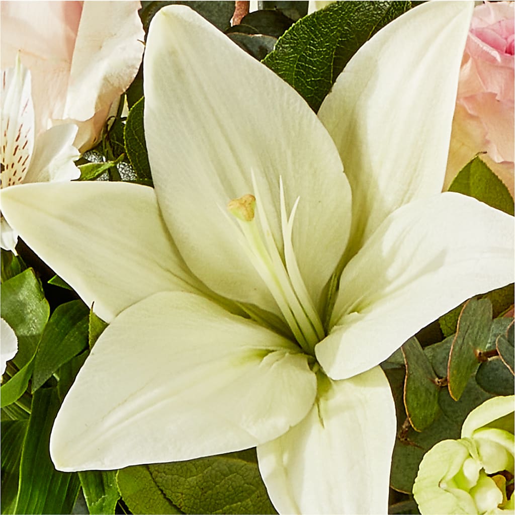Ballet Slippers Bouquet –  James Floral Shoppe, Wilkinsburg PA