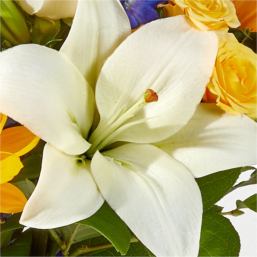 Wonderfully Sunny Bouquet –  James Floral Shoppe, Wilkinsburg PA