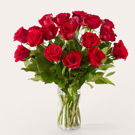 The One Red Rose Bouquet –  James Floral Shoppe, Wilkinsburg PA