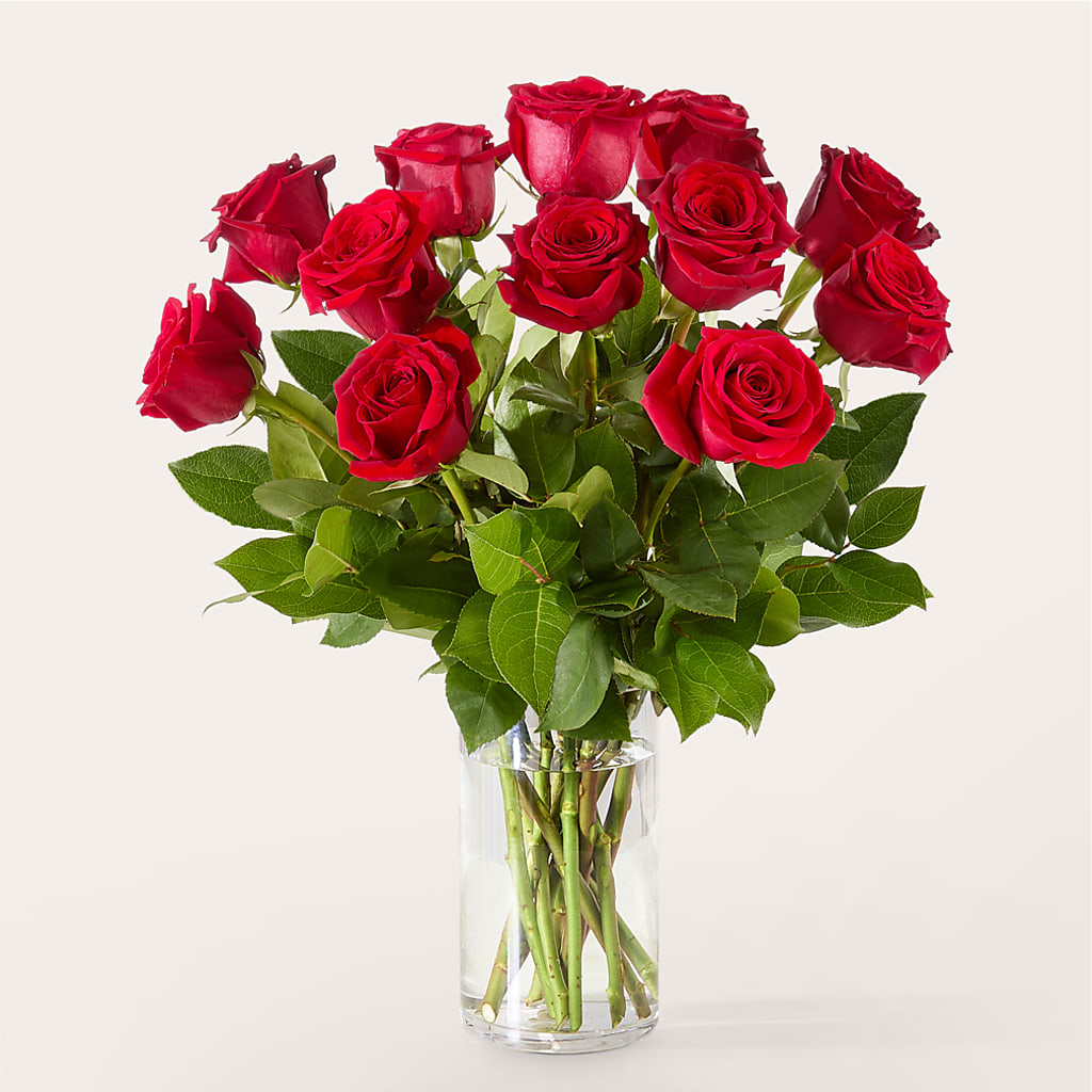 The One Red Rose Bouquet –  James Floral Shoppe, Wilkinsburg PA