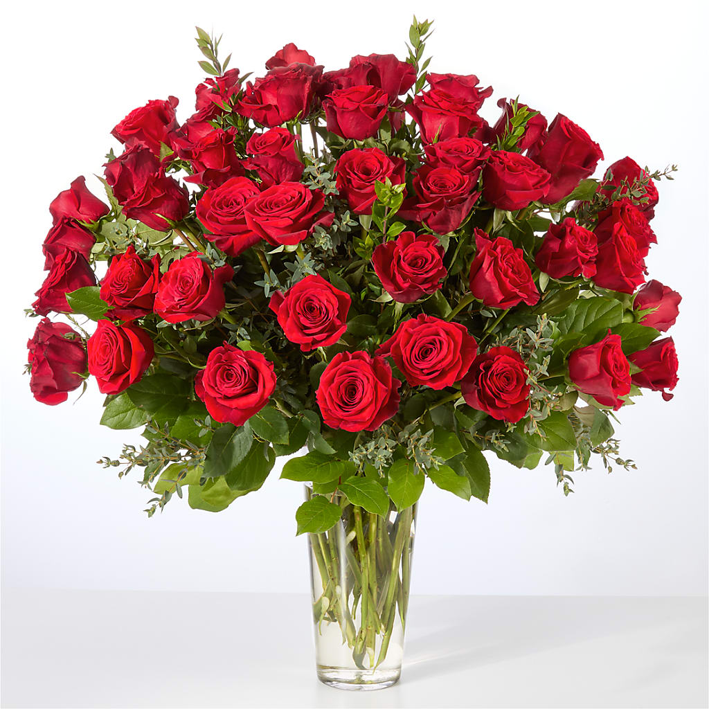 Forever Yours Fifty Stem Red Rose Bouquet –  James Floral Shoppe, Wilkinsburg PA