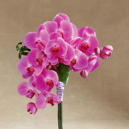 Glorious Bouquet –  James Floral Shoppe, Wilkinsburg PA