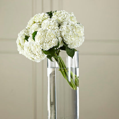 White Hydrangea Hand-Tied Bouquet –  James Floral Shoppe, Wilkinsburg PA