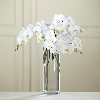 White Phalaenopsis Bouquet –  James Floral Shoppe, Wilkinsburg PA