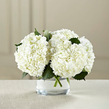 White Hydrangea Bouquet –  James Floral Shoppe, Wilkinsburg PA